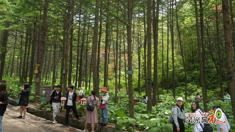 在对的时间和对的地方遇见对的人 ”缘”在龙峪湾