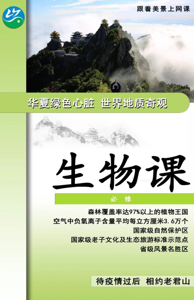 疫情之下,停课不停学！停工不停看