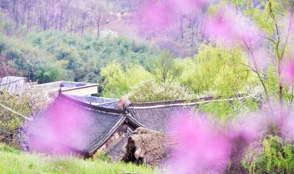 阳春三月,草长莺飞,重渡沟踏青正当时 阳春三月,草长莺飞,重渡沟踏青正当时
