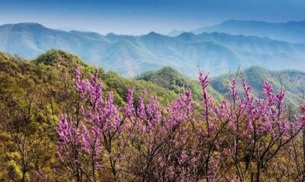 阳春三月,草长莺飞,重渡沟踏青正当时 阳春三月,草长莺飞,重渡沟踏青正当时