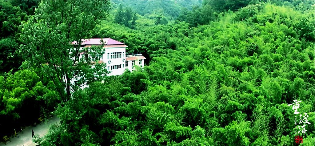 阳春三月,草长莺飞,重渡沟踏青正当时 阳春三月,草长莺飞,重渡沟踏青正当时