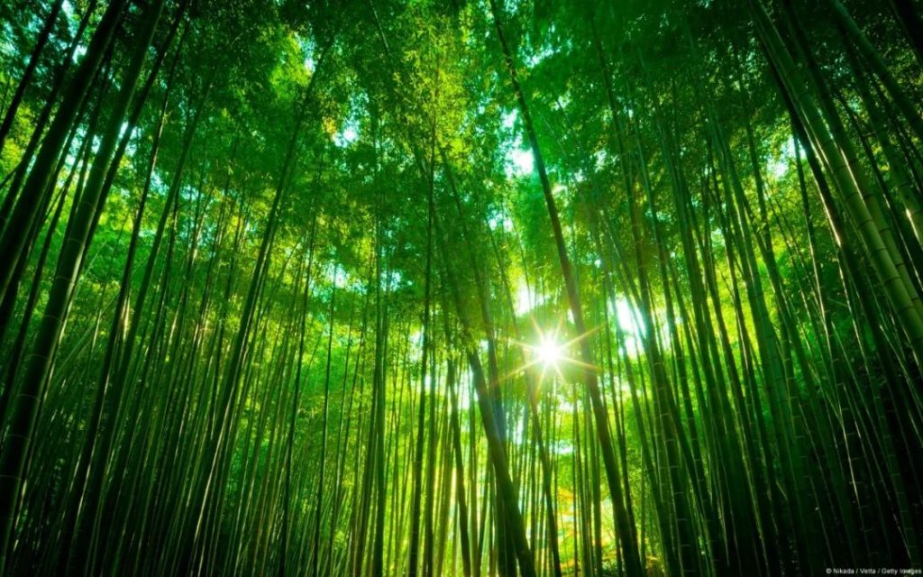 阳春三月,草长莺飞,重渡沟踏青正当时 阳春三月,草长莺飞,重渡沟踏青正当时