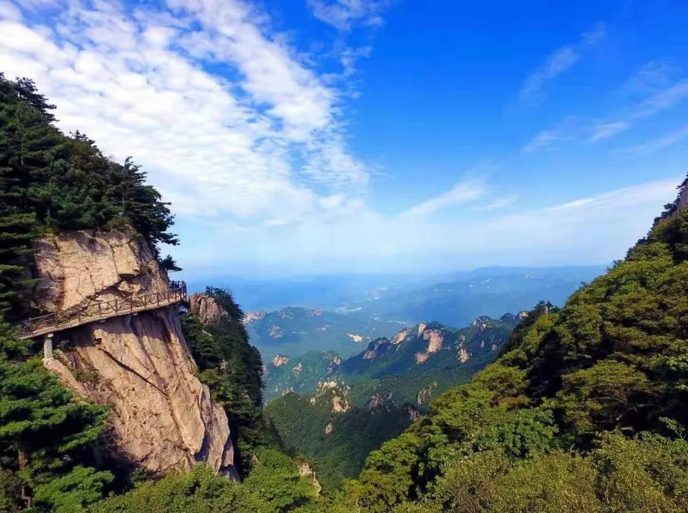 杜鹃花开 香溢中原，2021平顶山赏花春游季暨尧山•杜鹃花海节4月18日盛大启幕