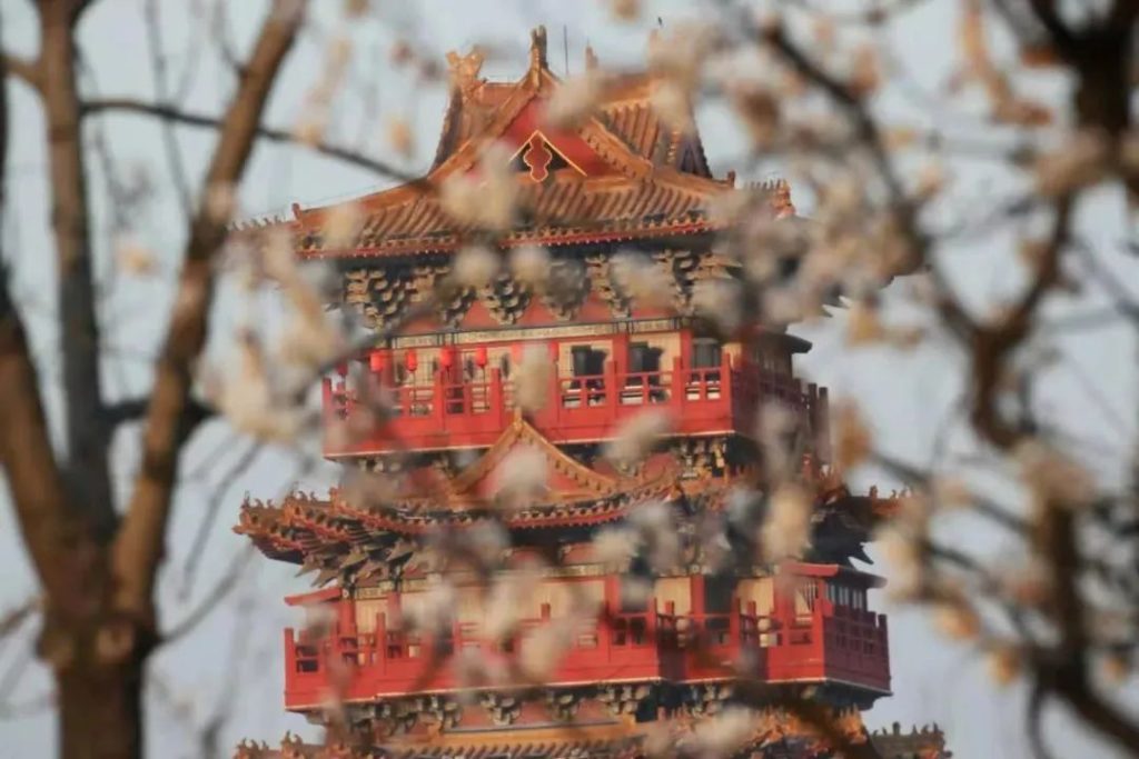 点击打开原图