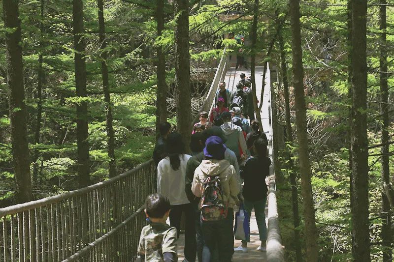 我们在行动|龙峪湾景区五一开园前防疫应急演练