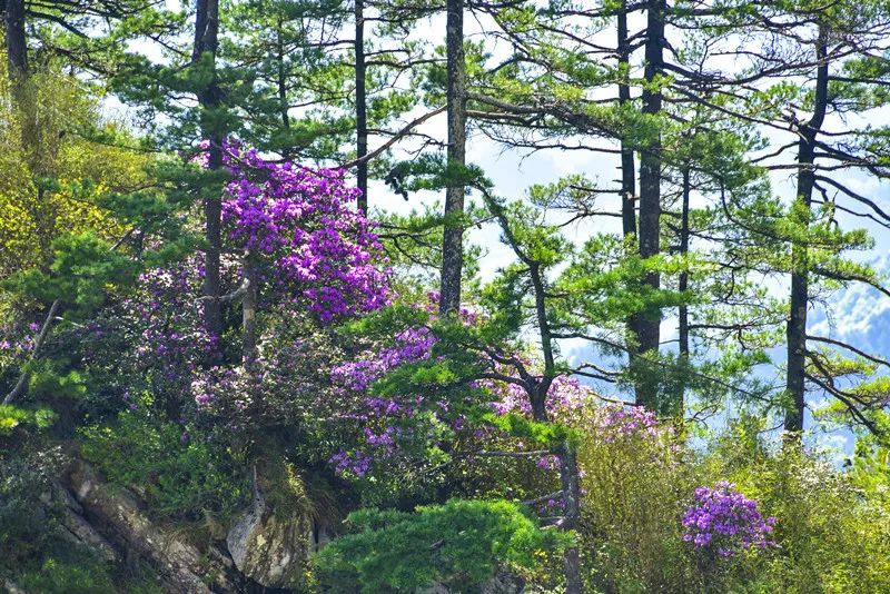 龙峪湾|爱旅游 爱生活