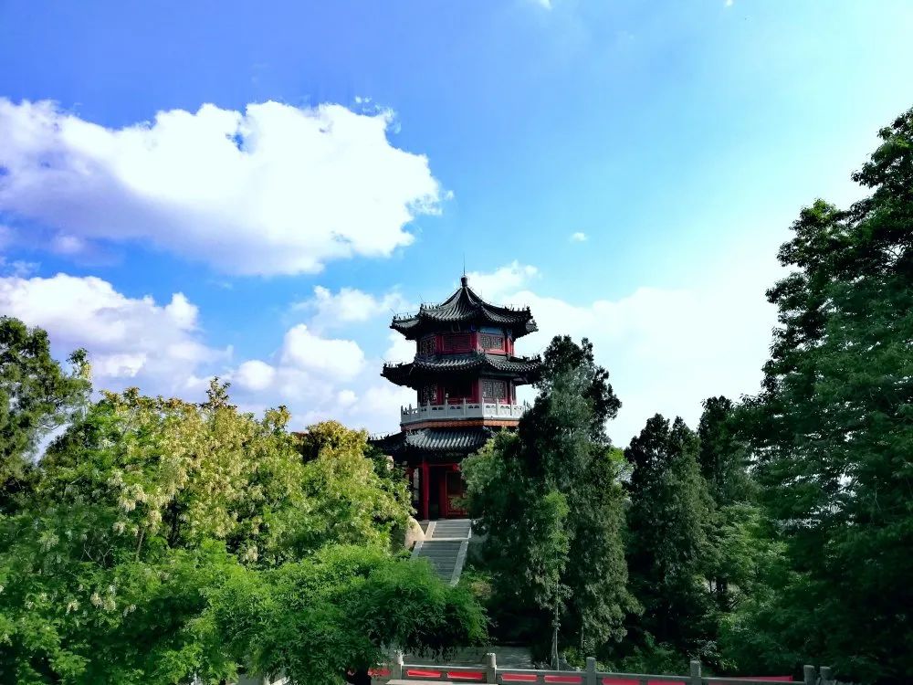 点击打开原图