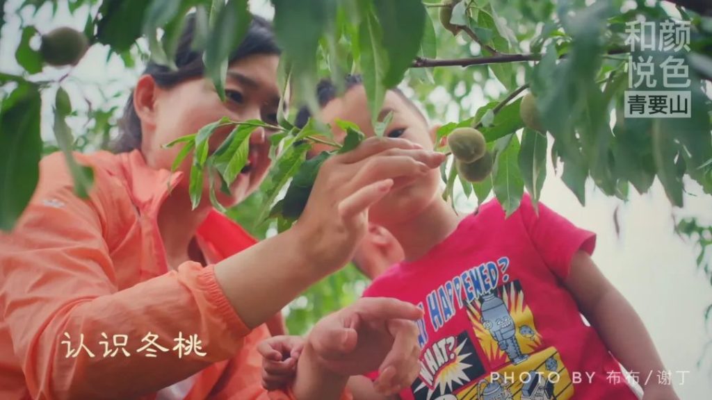 点击打开原图