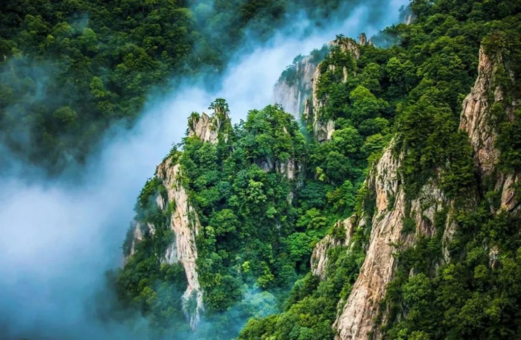 夏末狂欢！老君山观海避暑节之国风盛典即将开启