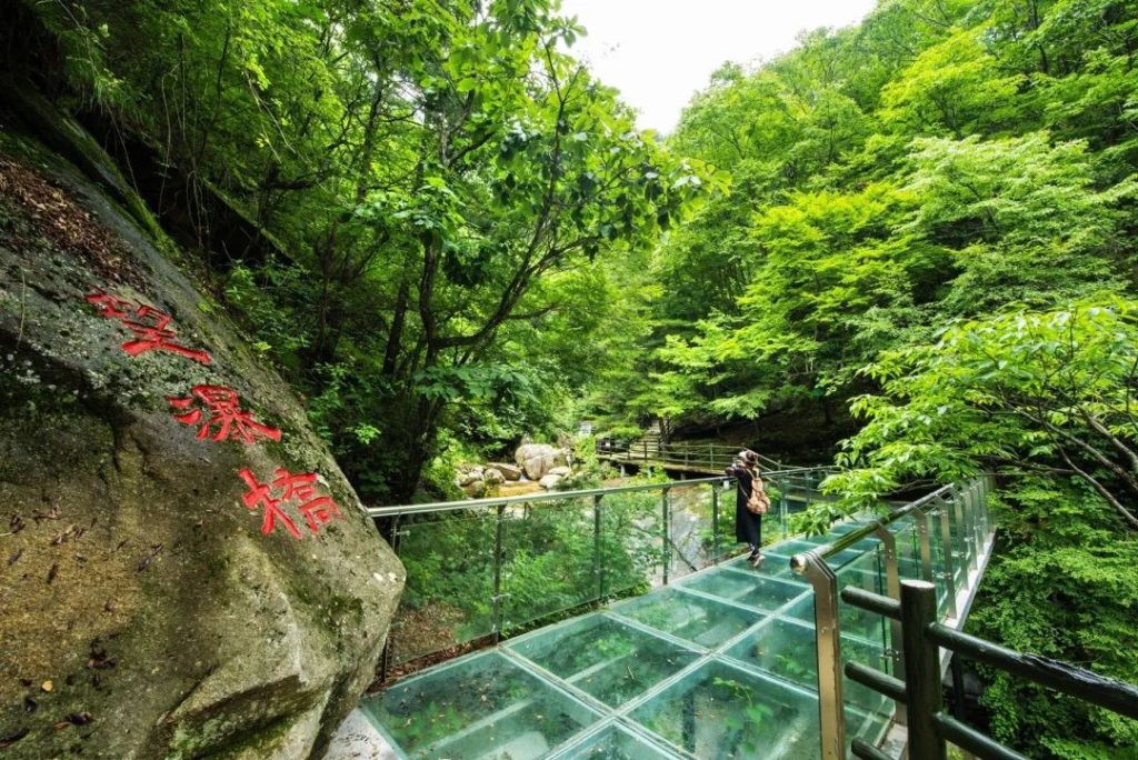 点击打开原图