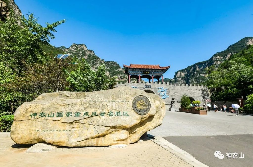 点击打开原图
