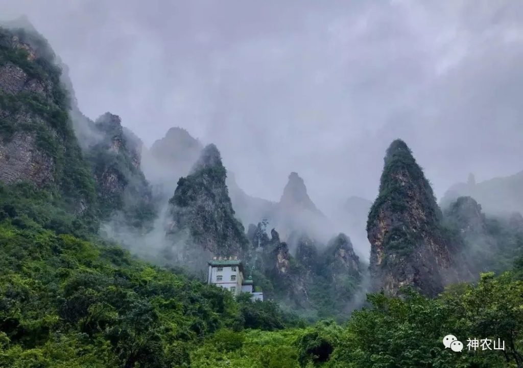 点击打开原图