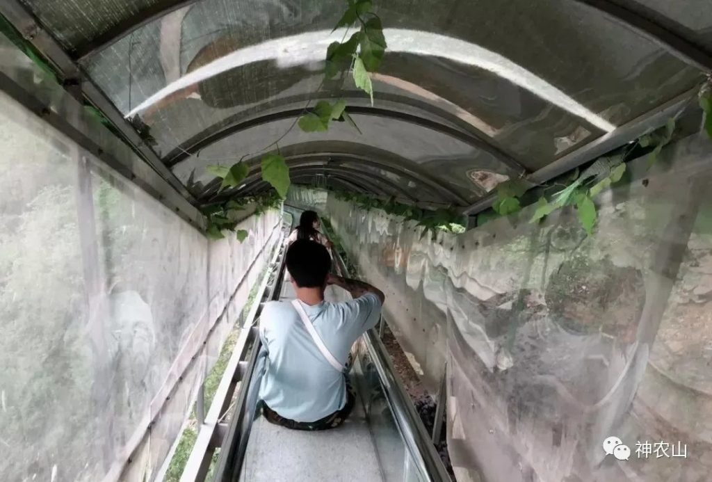 点击打开原图