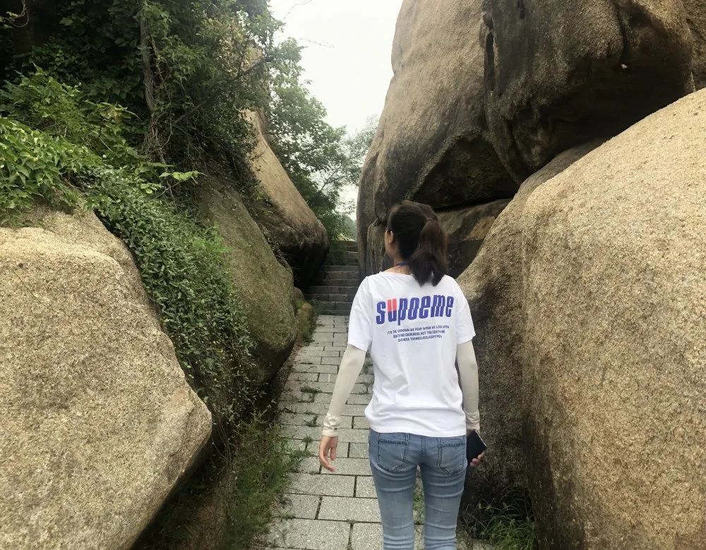 点击打开原图