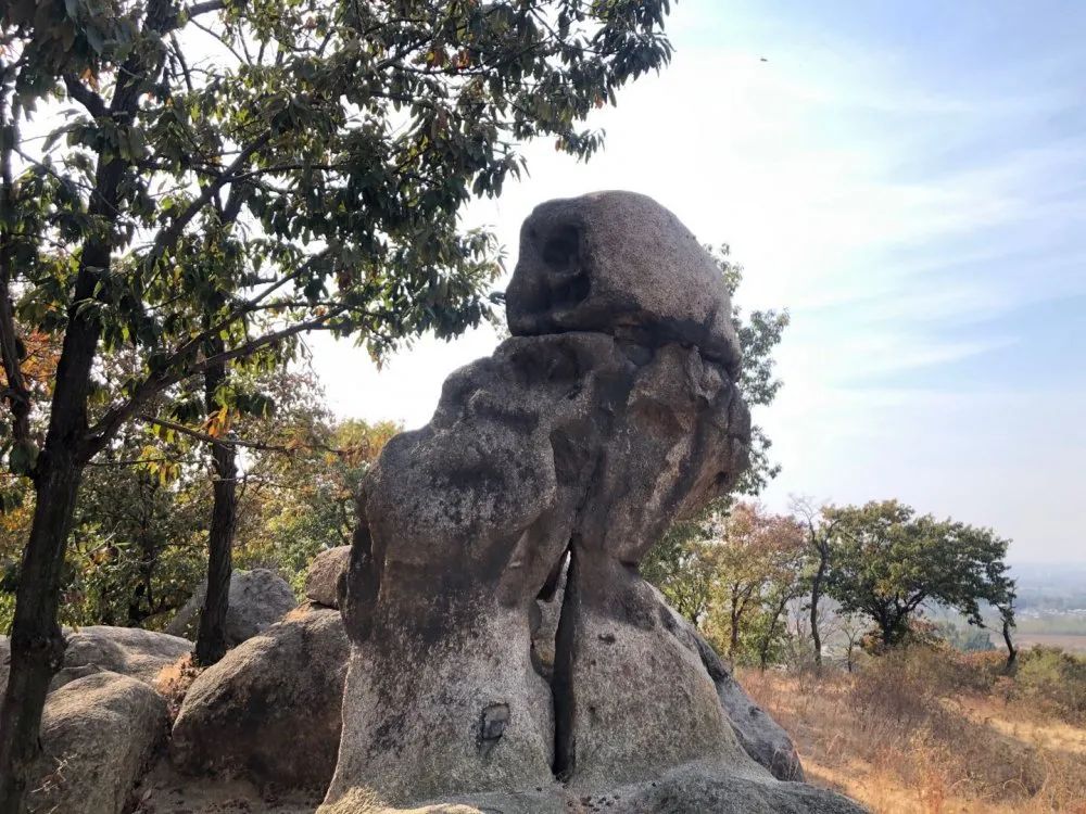 点击打开原图