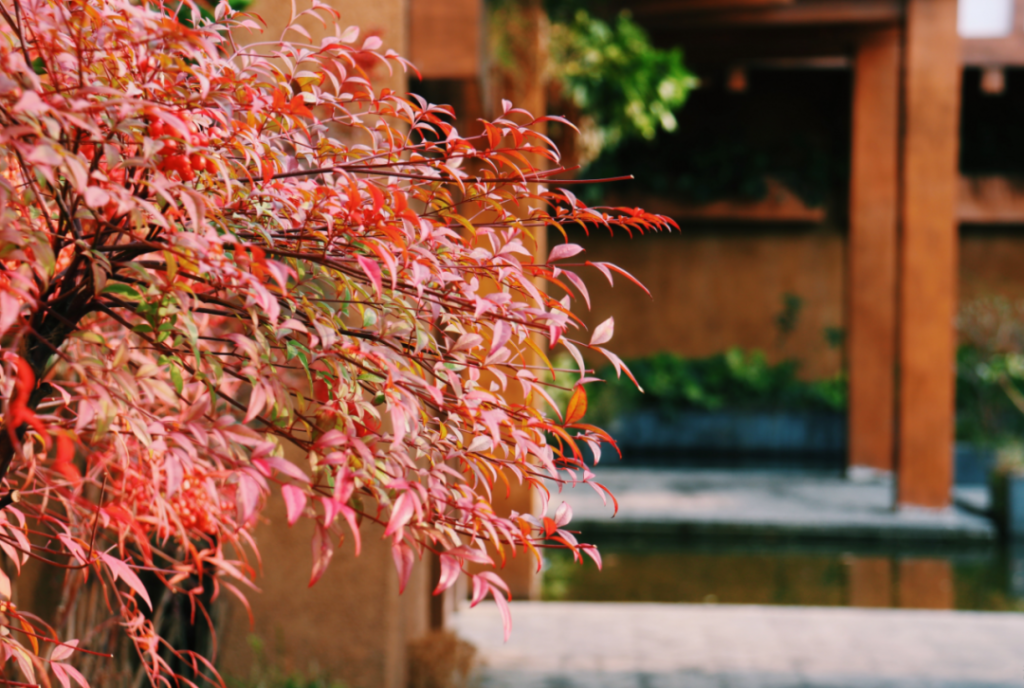 點擊打開原圖