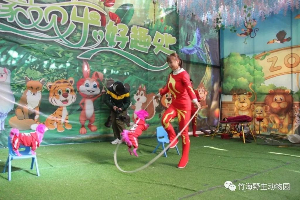 点击打开原图