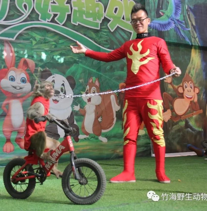 点击打开原图