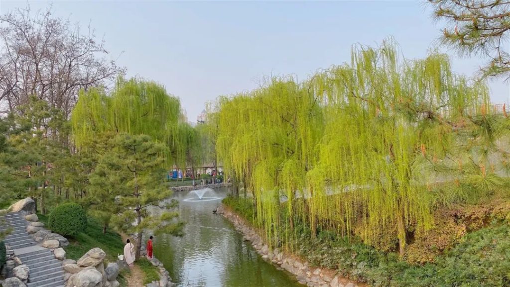 点击打开原图