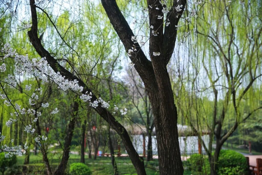 点击打开原图