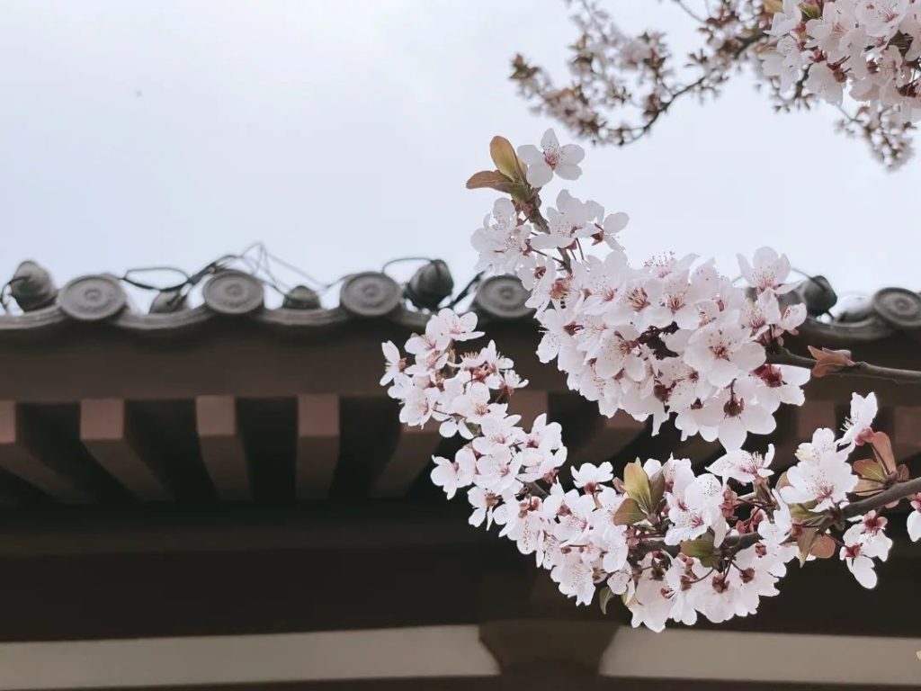 点击打开原图