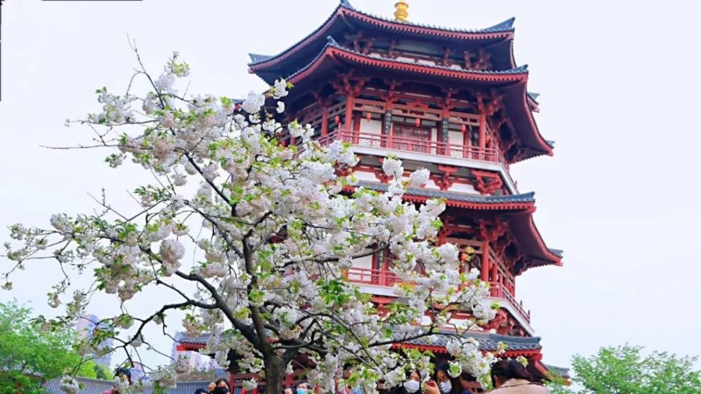 点击打开原图
