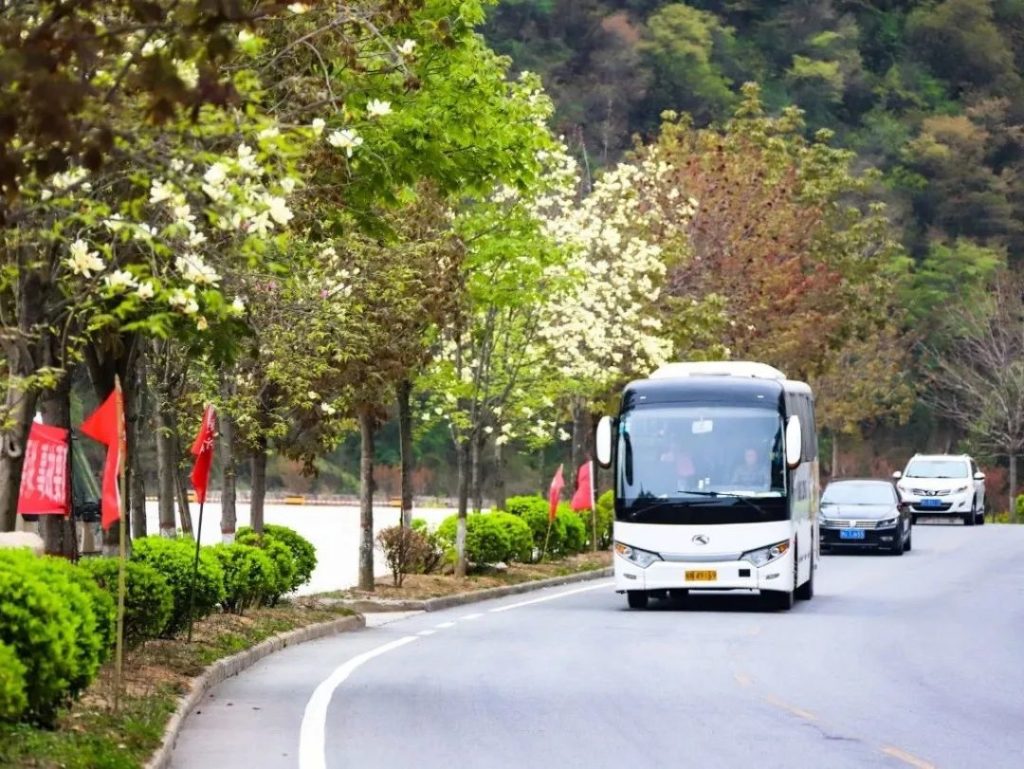 与花有关的老君山