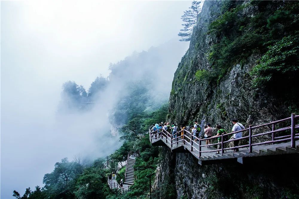 点击打开原图