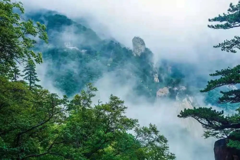 尧山旅游日来啦！每周三面向全国游客免门票