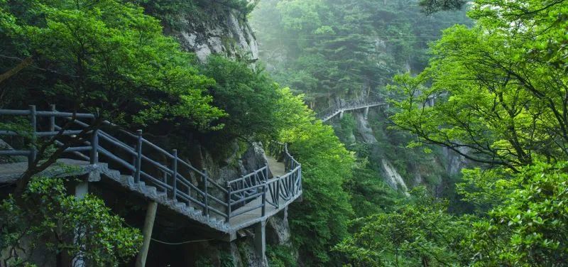 尧山旅游日来啦！每周三面向全国游客免门票