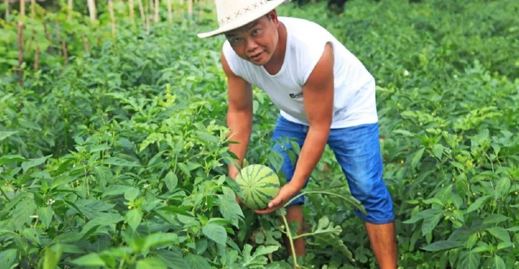点击打开原图