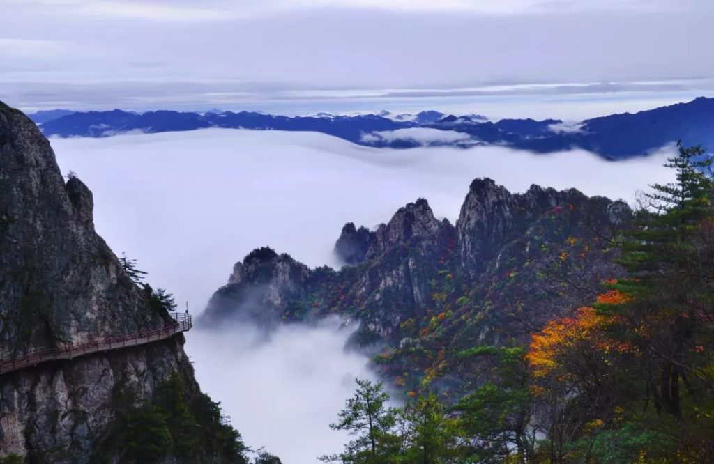 这个季节里，藏着你不知道的老君山-风光网视