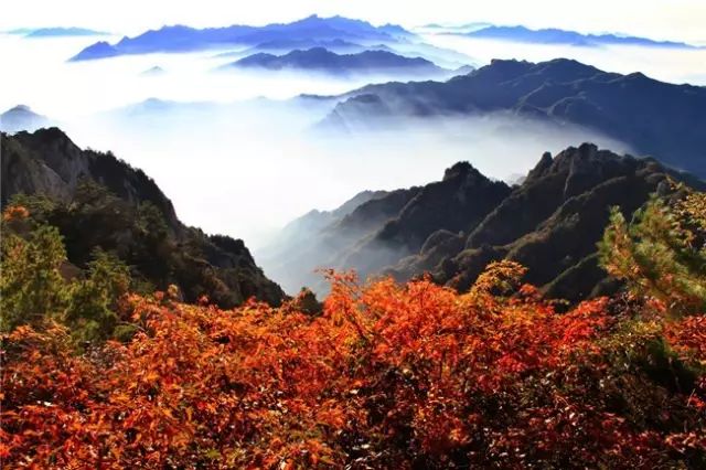 这个季节里，藏着你不知道的老君山-风光网视