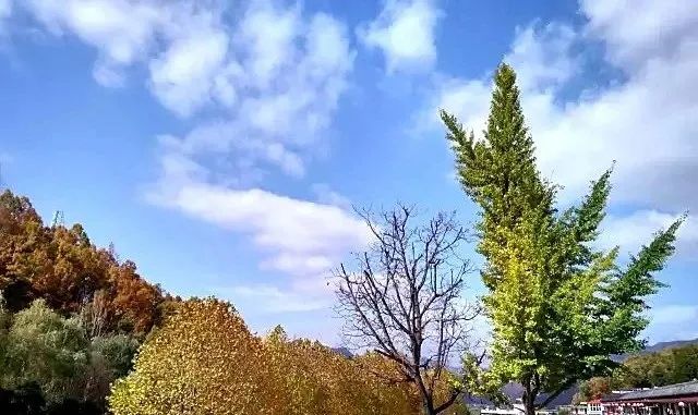 免费游览三天！感恩教师节，鸡冠洞景区送福利啦！