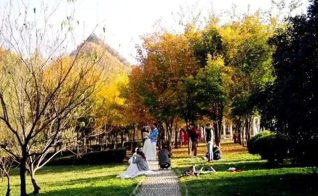 免费游览三天！感恩教师节，鸡冠洞景区送福利啦！