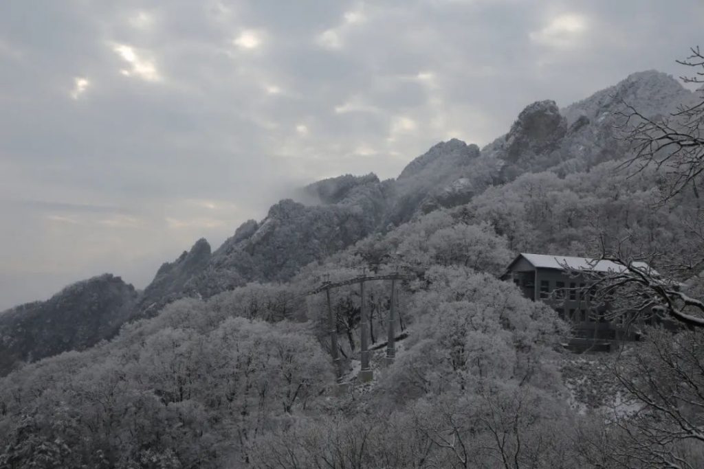 下雪啦！2021年老君山第一场雪真的来了！