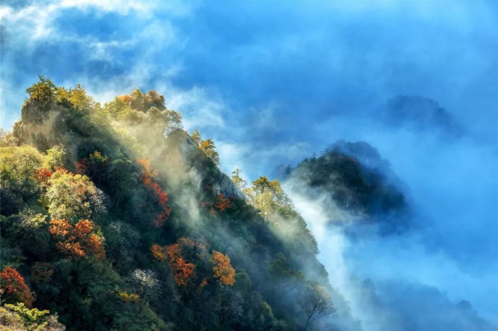 老君山景区红叶迎来游客观赏高峰期