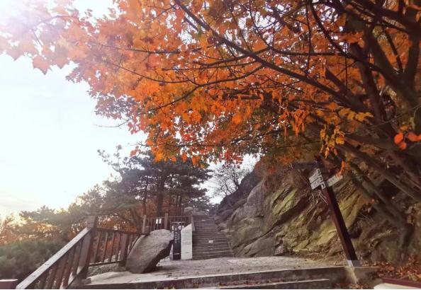 深秋的所有温柔，在鸡公山景区里都能感受到