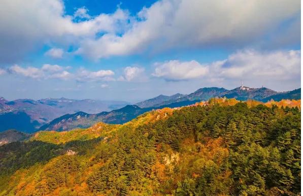 深秋的所有温柔，在鸡公山景区里都能感受到