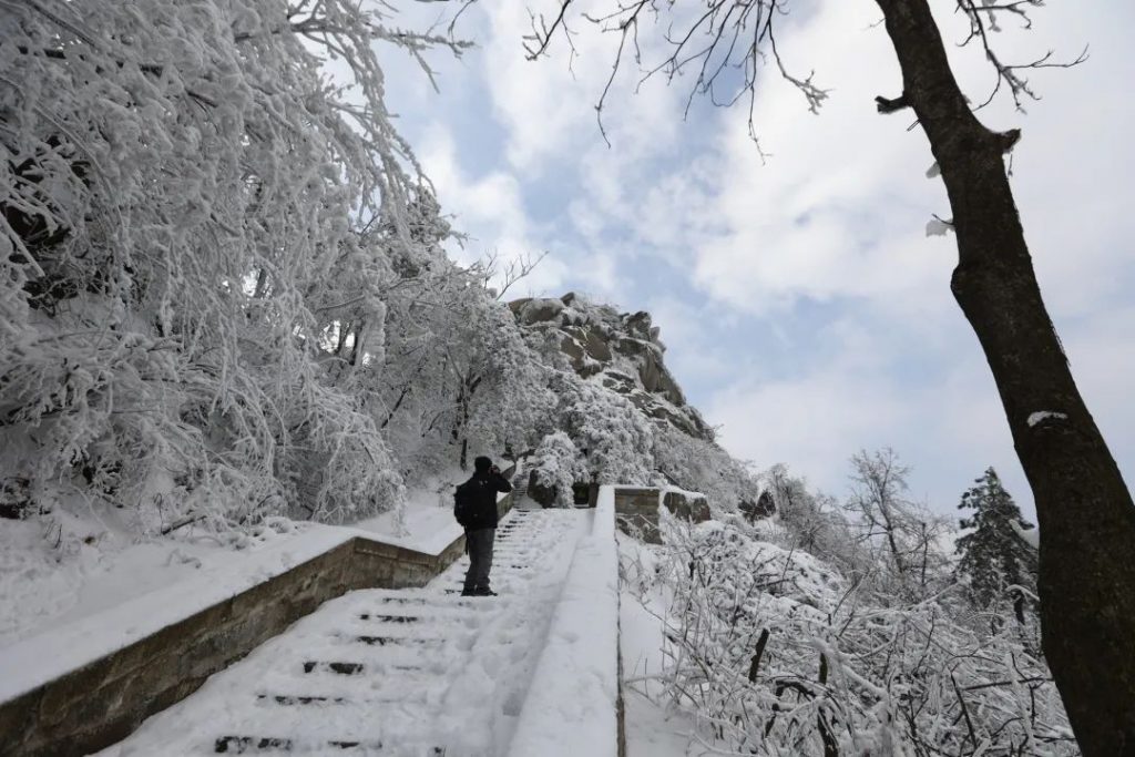 一场春雪，惊艳了鸡公山