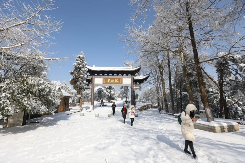 一场春雪，惊艳了鸡公山