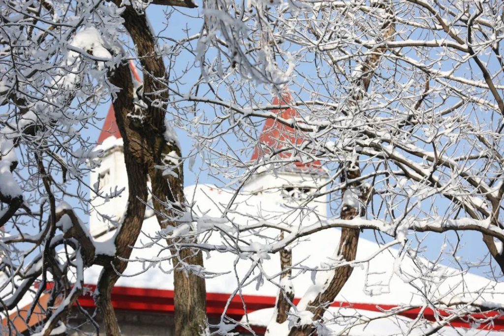一场春雪，惊艳了鸡公山
