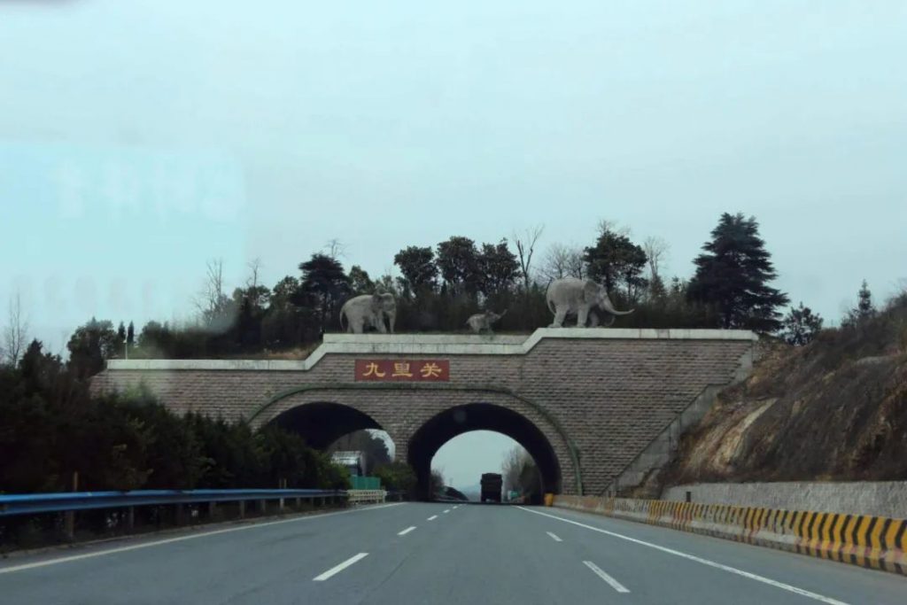 鸡公山景区：【行走河南·读懂中国】—义阳三关·九里关篇