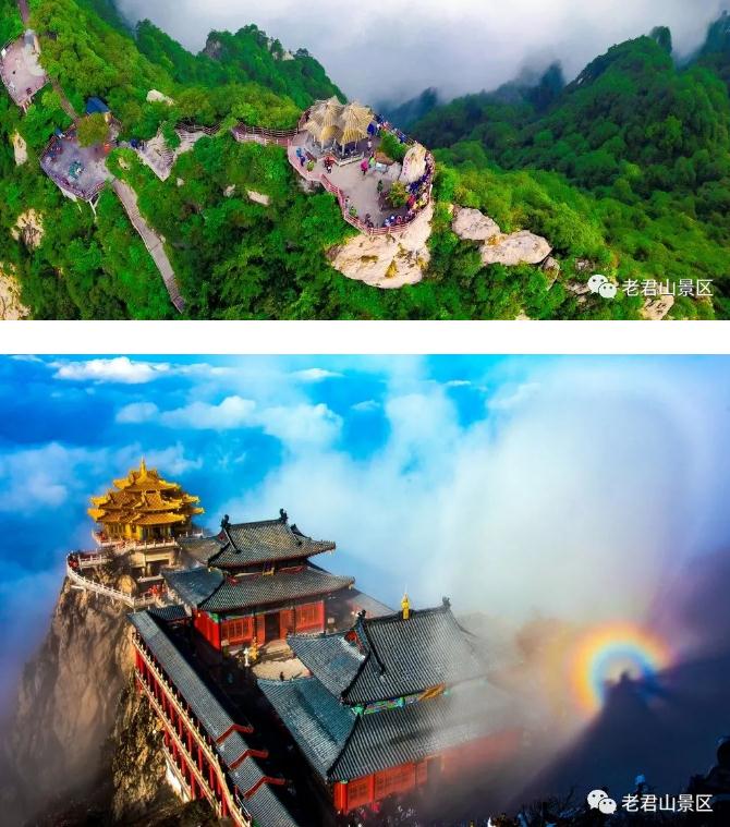 3·12丨守护绿色,为老君山添“彩” 3·12丨守护绿色,为老君山添“彩”