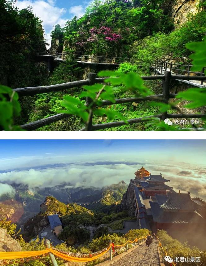 3·12丨守护绿色,为老君山添“彩” 3·12丨守护绿色,为老君山添“彩”