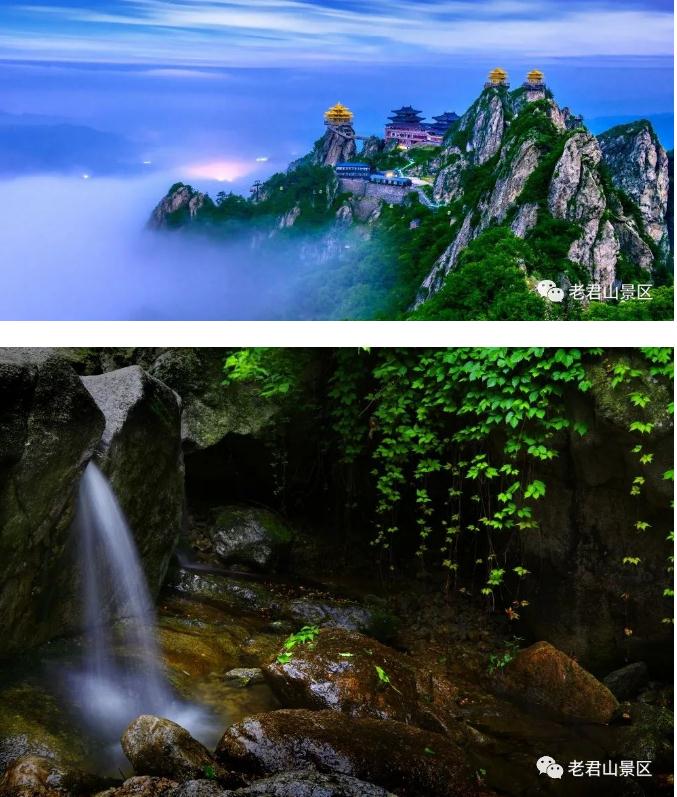 3·12丨守护绿色,为老君山添“彩” 3·12丨守护绿色,为老君山添“彩”