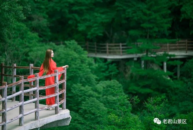 3·12丨守护绿色，为老君山添“彩”