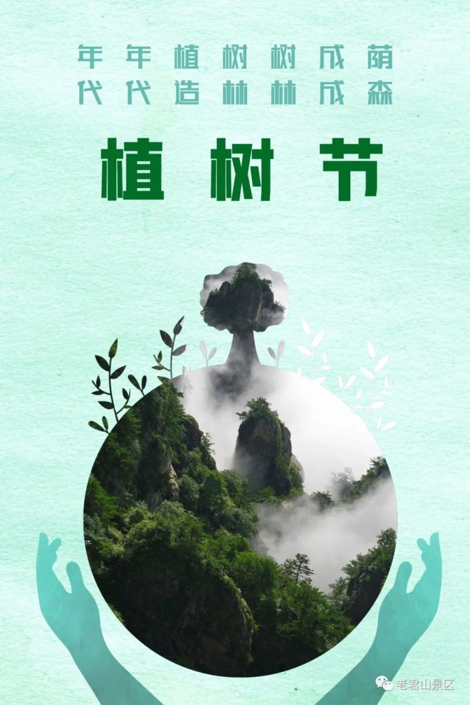 3·12丨守护绿色,为老君山添“彩” 3·12丨守护绿色,为老君山添“彩”