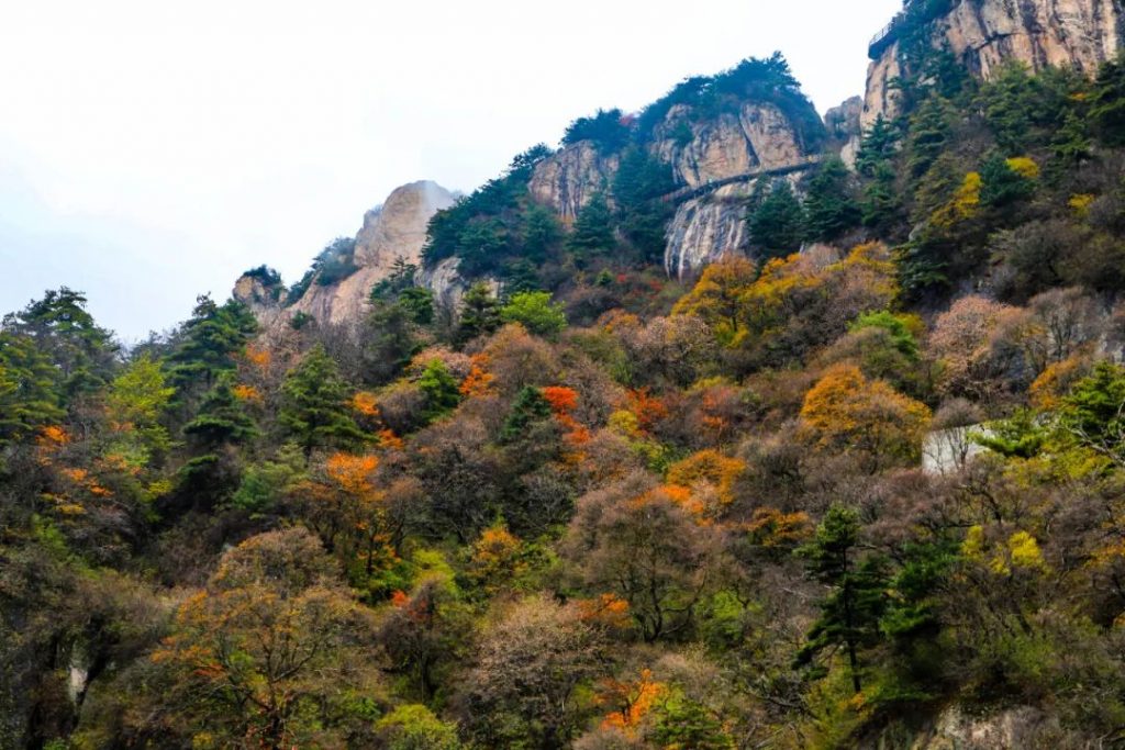 【探秘老君山】十里画屏
