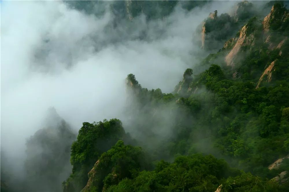 老君山：一場(chǎng)秋雨，一幅美景！登山觀云海如沐仙境！-風(fēng)光網(wǎng)視